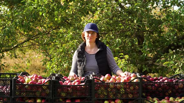 Woman Farmer Happy with Harvest of Apples and Showing Thumb Up