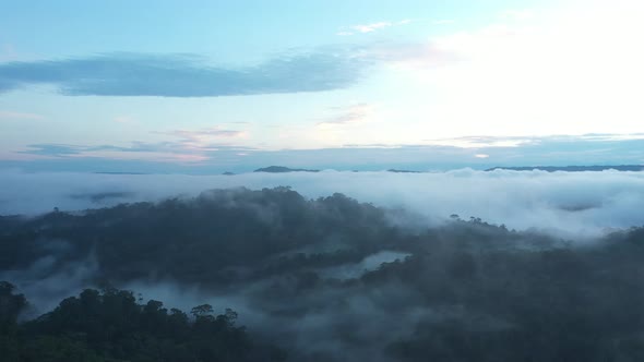 Drone shot of the Amazon rainforest early in the morning while the forest is still covered in mist 