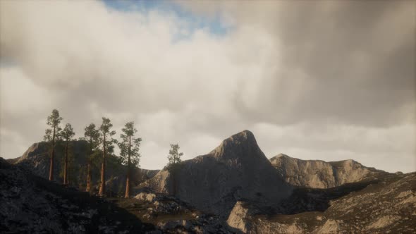 Cliff with Trees and Light of the Sun alt