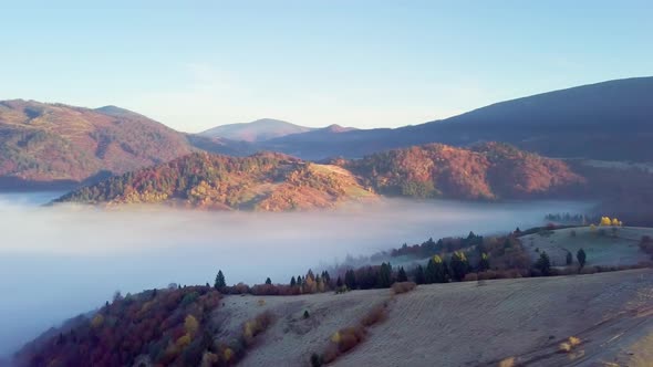 A Wonderful Feeling of a Moving Cloud on a Mountain After Rain