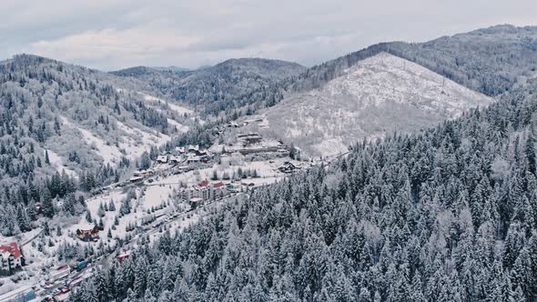 Forest in Mountains Covered with Snow