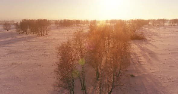 Aerial Drone View of Cold Winter Landscape with Arctic Field, Trees Covered with Frost Snow and