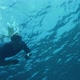 Man Floats Under Water - VideoHive Item for Sale