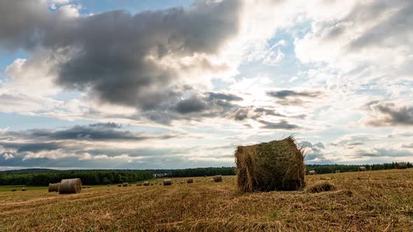 FHD Flat Hill Meadow Timelapse at the Summer Sunset Time