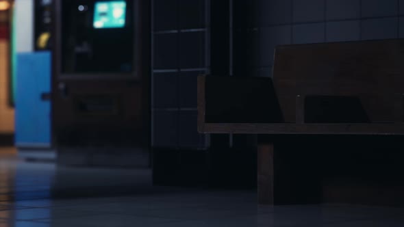 Empty Train Station During the Covid19 Pandemic alt