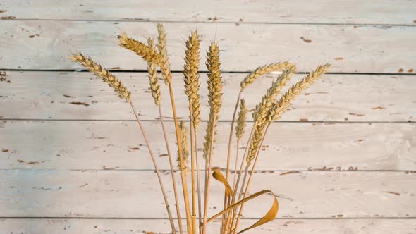 Wheat Spikelets Are Spinning On The Turntable Against The Background Of Old Wood.