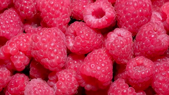 Berries