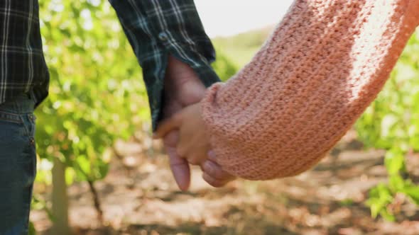 Close Up Shot of Couple Holding Hands in a Vineyard