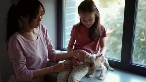 Happy Asian mom and daughter stroking their dog