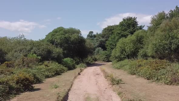 Ground view of deserted dirt road in Woodbury England.