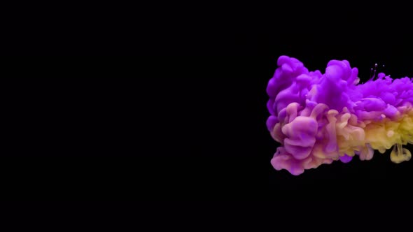 Super Slowmotion Shot of Color Inks in Water