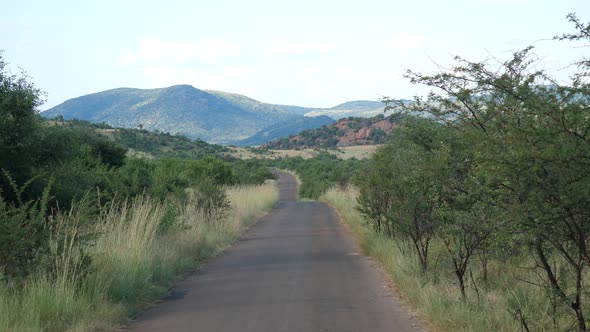 Empty road in Pilanesberg National Park in South Africa