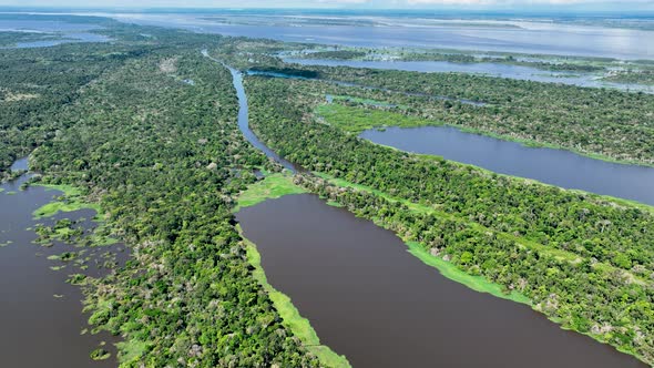 Stunning landscape of Amazon Forest at Amazonas State Brazil.