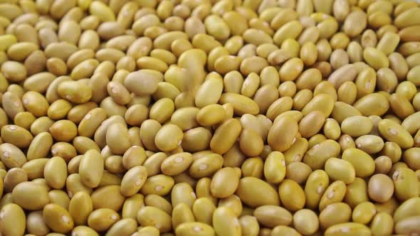 Raw Canary (peruvian) yellow beans falling in slow motion. Dry uncooked peruano legumes