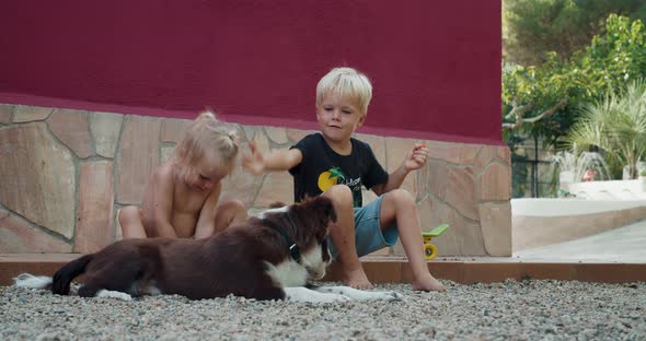 Happy Children Playing with Border Collie Dog Outdoors in Patio and Smiling
