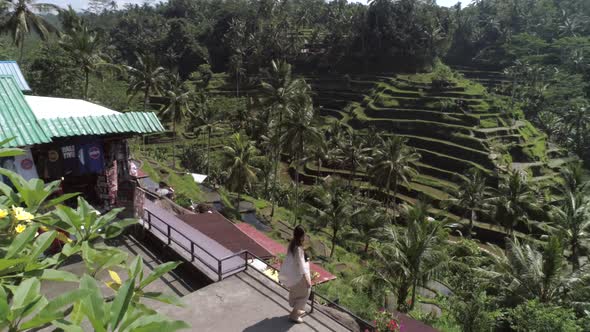Aerial view of woman a admiring terracing field, Malang, Indonesia.