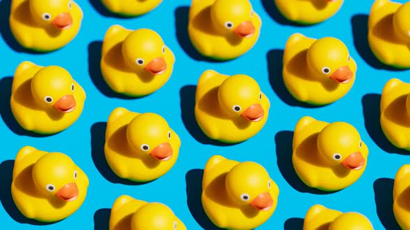 Rubber ducks for fun in the bath. Cute yellow toys arranged in rows. Ducklings.