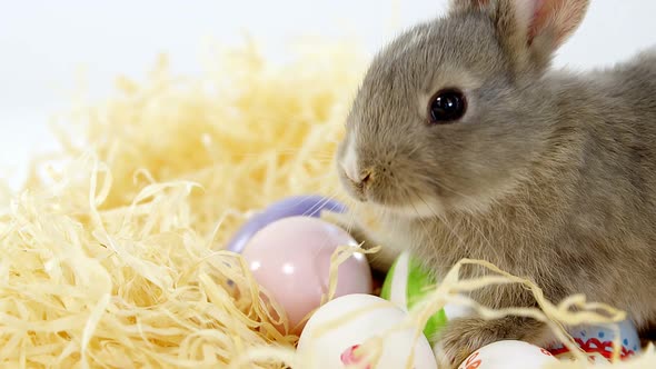 Easter eggs with Easter bunny in nest