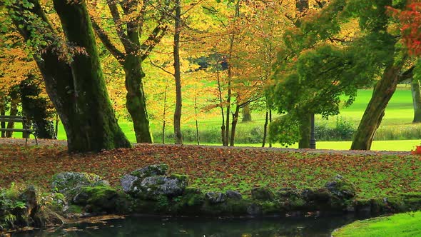 Empty Bench in Autumn Park