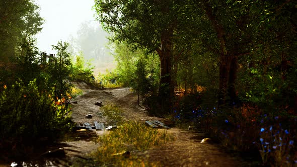 Landscape with Wooden Fence Grassy Meadow and Path