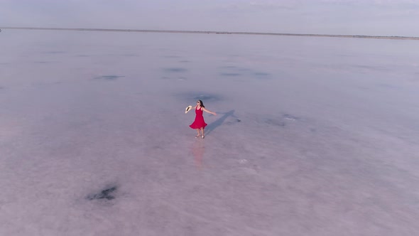 Girl Traveler in a Red Dress Walks on a Pink Lake. Aerial View