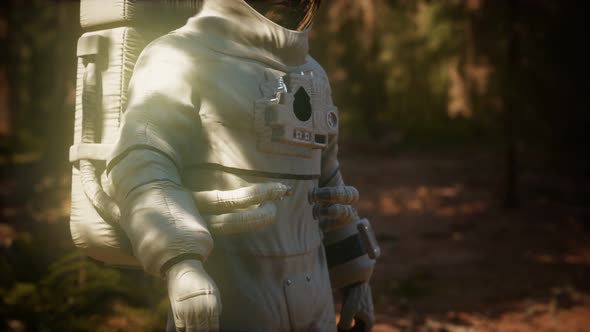 Lonely Astronaut in Dark Forest alt