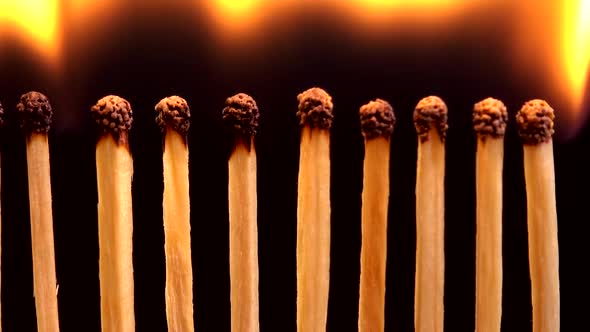 Burning matches on a black background.