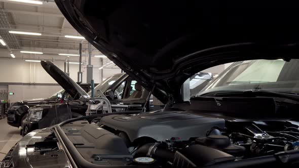 Bearded Car Service Worker Smiling To the Camera, Examining Cars at the Workshop