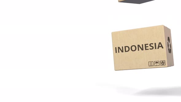 Falling Boxes with PRODUCT OF INDONESIA Text