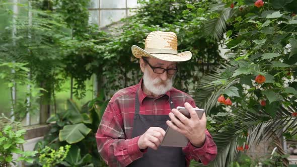 Bearded Hardworking Elderly Man in Hat Working in Beautiful Glasshouse and Using Tablet PC
