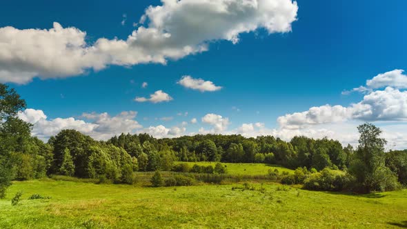 Clouds over the forest in summertime