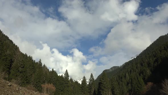 Cloudy Sky of Mountains Through the Wooded Valley