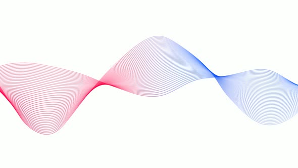 Red Blue Gradient Line Wave Animated On White Background