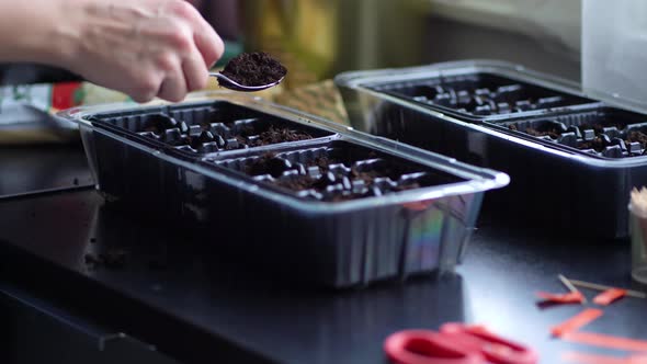 The Process of Preparing for Planting Seeds in a Black Plastic Container