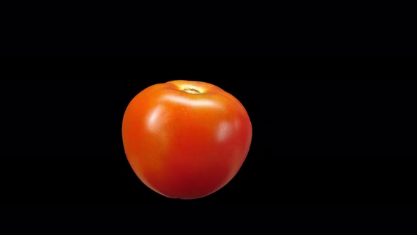 Realistic Tomato Rotating With Alpha Channel