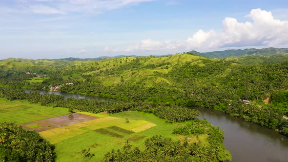 River and Green Hills