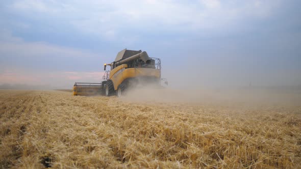 Grain Harvester Working in Field Gathering Crop of Ripe Wheat. Combine Riding Through Rural Leaving