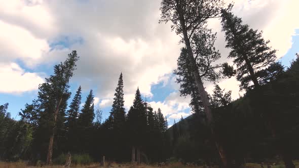 Time lapse looking up at clouds and peaks of mountains and pine trees