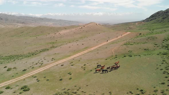 Drone Shot of Bicyclists Ride in the Mountains of Kazakhstan