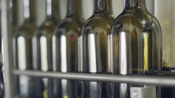 Filling of olive oil bottles in a bottling factory