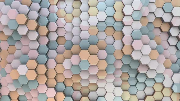 Hexagon Background 01 (Glossy)