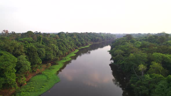 Flight Over the Amazon and the Jungle