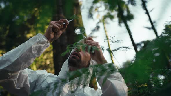 Biologist Scientist Analyzes the Leaves of an Endangered Plant in the Mountains