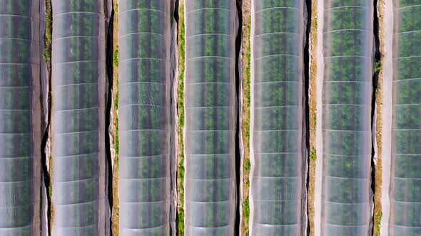 Flying over a greenhouse in the desert by the Dead sea, Israel, close up to long shot pull out, Tria