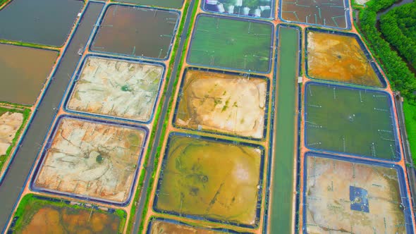 An aerial view over a drone flying over a large shrimp farm