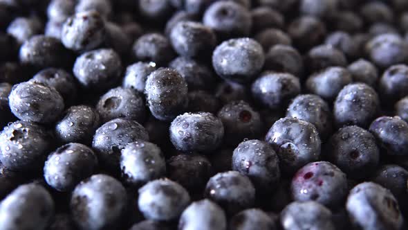 Freshly picked juicy blueberries background, flat lay. Blueberries texture