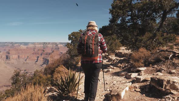 Back View Woman With A Backpack Hiking In The Footpath Of The Grand Canyon Park