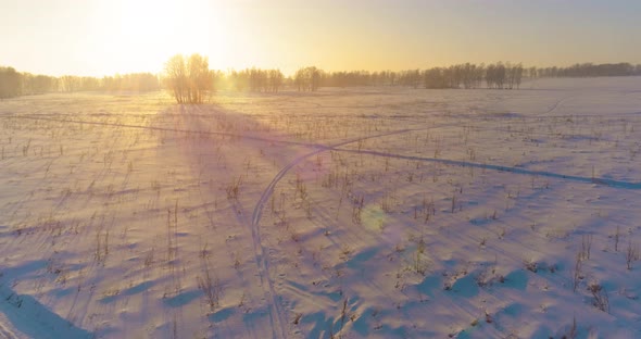 Aerial Drone View of Cold Winter Landscape with Arctic Field Trees Covered with Frost Snow