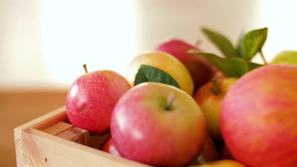 Ripe Apples in Wooden Box 47