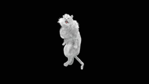 67 White Lion Dancing HD